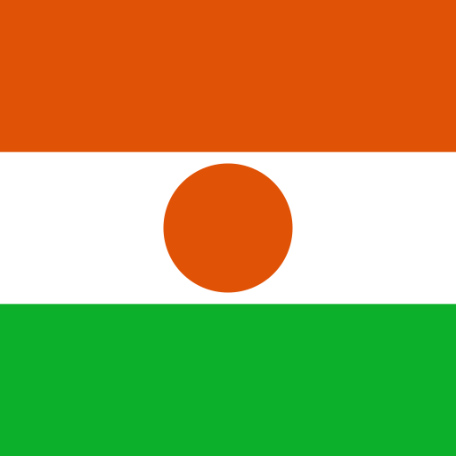 Niger flag